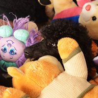 おもちゃに囲まれる犬