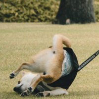 あられもない姿に♡