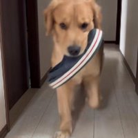 とてもわんぱくだった！！