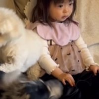 部下たちを見守るボスのよう