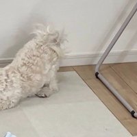 初見のモノにブチギレ！！