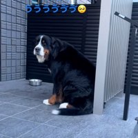 泣き止まないララちゃん