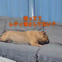 まだ食べ足りない！？