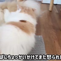 怒られたポテチくん4