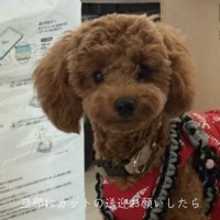 「行ってきます〜」