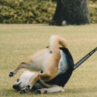 お尻を丸出しにして…