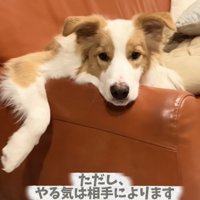 朝から大役お疲れさま