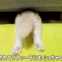 拗ね方が可愛すぎる！