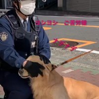 「見回りごくろうさま」