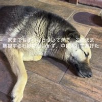 ひとまず家に連れて帰ることに