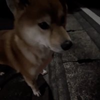 美声、次はいつ聞けるかな？