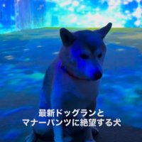 絶望している…！！