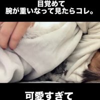 腕が重たくて起きたら…