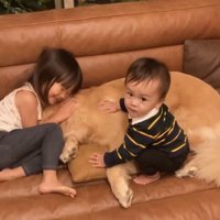 ソファでくつろぐ犬と子どもたち
