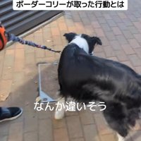 ジッピーくんの気遣い3