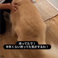 エマちゃんとパパさんの再会6