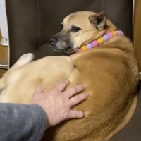 優しい表情からの…