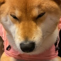 お目目がしょぼしょぼ…