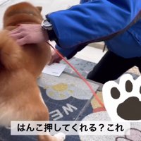「はんこ押してね」