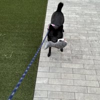 ギャップ