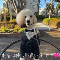 普段はとても優しいワンダくん