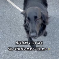 いつだって、帰りを待ってるよ