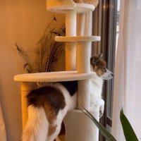 アグちゃんもいた！！