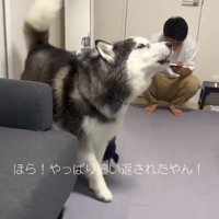 文句を言うケールくん