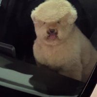 思わず二度見する光景でした♪