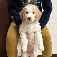 スクスク成長して…