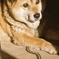 ぺこちゃんの頭に影が落ちたら…