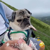 リフトに乗るデビちゃん4