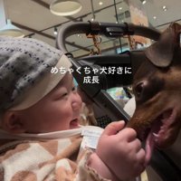 微笑ましいふれあい♡