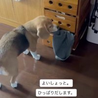 自分の服を取り出して…