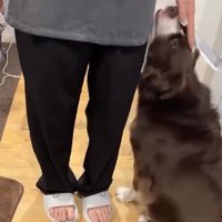 テールちゃんを撫でるママ