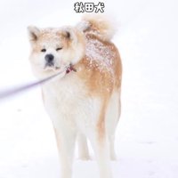 お散歩中に帰宅拒否！