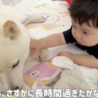プイッ