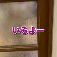 犬に返事をする飼い主