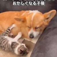 「今は寝かせてよ…」
