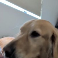 手を追いかけて