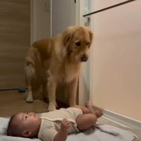 心配そうな顔に…
