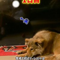 パパさんは警戒され、近づけませんでした