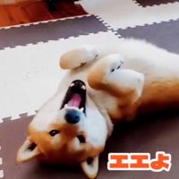 とっても甘え上手♡