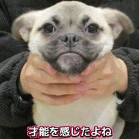 「人生何週目？」