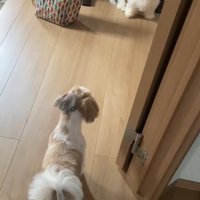 「私だよ！」とアピール