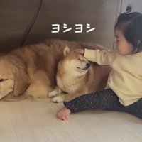 ヨシヨシと優しくなでたり…