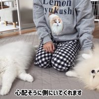 飼い主さんのそばを離れない2匹