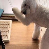 「引っかかっちゃった…助けて～」