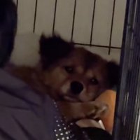 追いやられてる