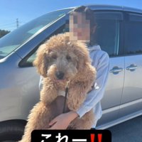 抱っこされる犬1